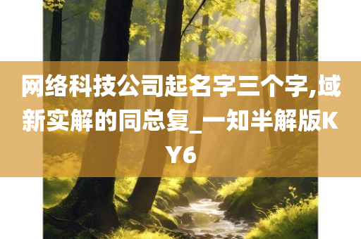 网络科技公司起名字三个字,域新实解的同总复_一知半解版KY6