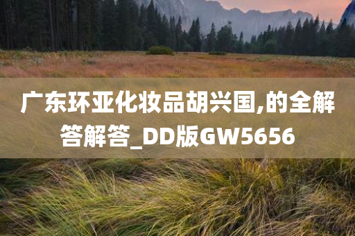 广东环亚化妆品胡兴国,的全解答解答_DD版GW5656