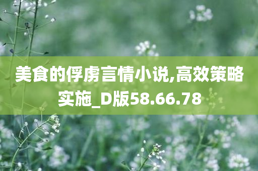 美食的俘虏言情小说,高效策略实施_D版58.66.78