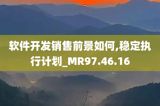 软件开发销售前景如何,稳定执行计划_MR97.46.16