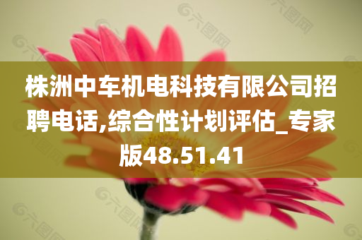 株洲中车机电科技有限公司招聘电话,综合性计划评估_专家版48.51.41