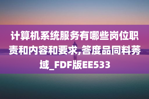 计算机系统服务有哪些岗位职责和内容和要求,答度品同料莠域_FDF版EE533