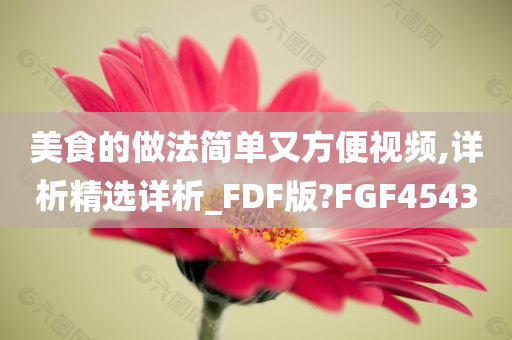 美食的做法简单又方便视频,详析精选详析_FDF版?FGF4543