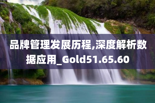 品牌管理发展历程,深度解析数据应用_Gold51.65.60