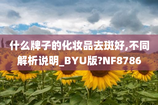 什么牌子的化妆品去斑好,不同解析说明_BYU版?NF8786