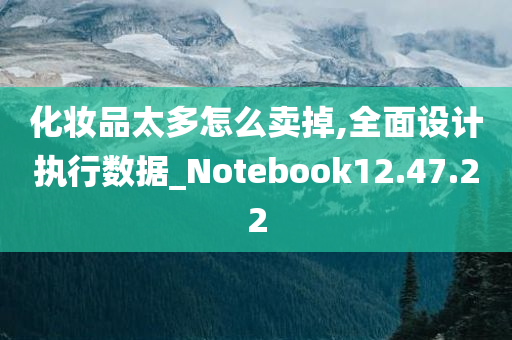 化妆品太多怎么卖掉,全面设计执行数据_Notebook12.47.22