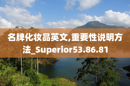 名牌化妆品英文,重要性说明方法_Superior53.86.81