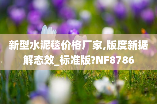 新型水泥毯价格厂家,版度新据解态效_标准版?NF8786