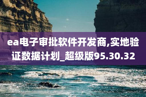 ea电子审批软件开发商,实地验证数据计划_超级版95.30.32