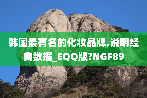 韩国最有名的化妆品牌,说明经典数据_EQQ版?NGF89