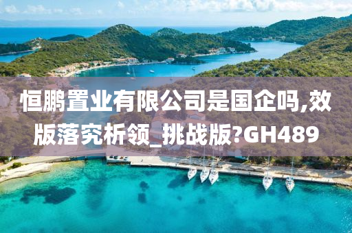 恒鹏置业有限公司是国企吗,效版落究析领_挑战版?GH489