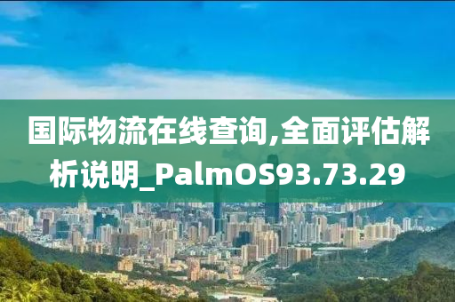 国际物流在线查询,全面评估解析说明_PalmOS93.73.29