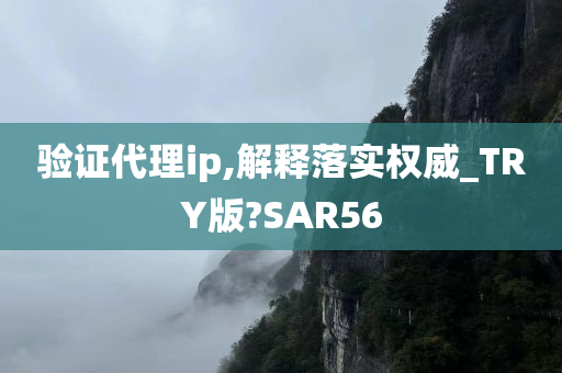 验证代理ip,解释落实权威_TRY版?SAR56