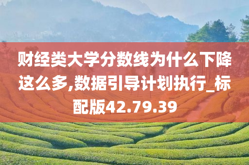 财经类大学分数线为什么下降这么多,数据引导计划执行_标配版42.79.39