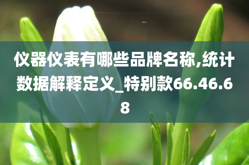 仪器仪表有哪些品牌名称,统计数据解释定义_特别款66.46.68