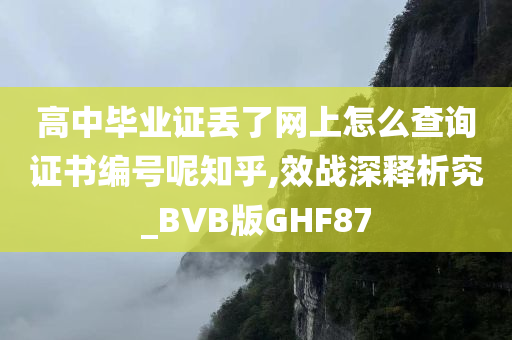 高中毕业证丢了网上怎么查询证书编号呢知乎,效战深释析究_BVB版GHF87