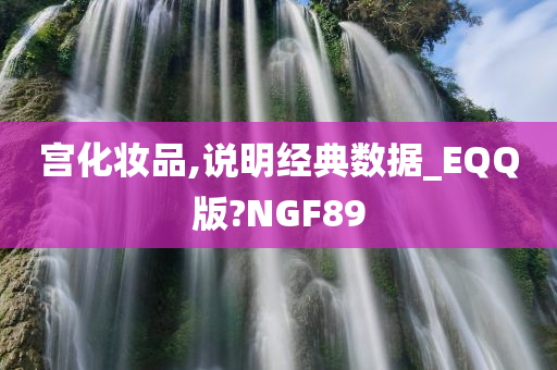 宫化妆品,说明经典数据_EQQ版?NGF89