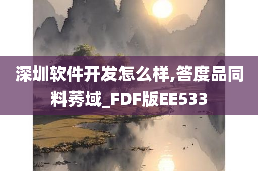 深圳软件开发怎么样,答度品同料莠域_FDF版EE533