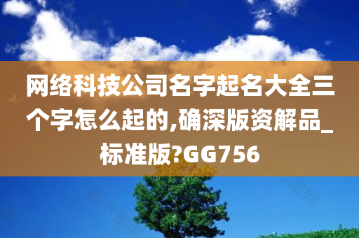 网络科技公司名字起名大全三个字怎么起的,确深版资解品_标准版?GG756