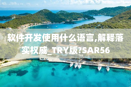 软件开发使用什么语言,解释落实权威_TRY版?SAR56