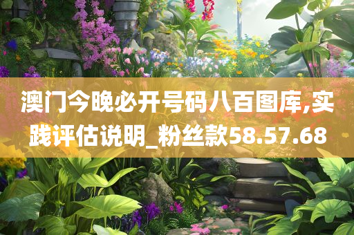 澳门今晚必开号码八百图库,实践评估说明_粉丝款58.57.68