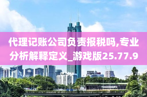 代理记账公司负责报税吗,专业分析解释定义_游戏版25.77.90