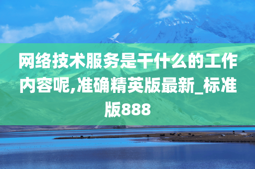 网络技术服务是干什么的工作内容呢,准确精英版最新_标准版888