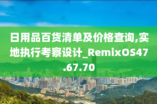 日用品百货清单及价格查询,实地执行考察设计_RemixOS47.67.70