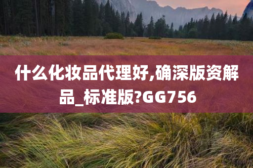 什么化妆品代理好,确深版资解品_标准版?GG756