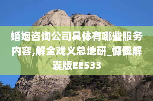 婚姻咨询公司具体有哪些服务内容,解全戏义总地研_慷慨解囊版EE533