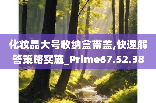 化妆品大号收纳盒带盖,快速解答策略实施_Prime67.52.38