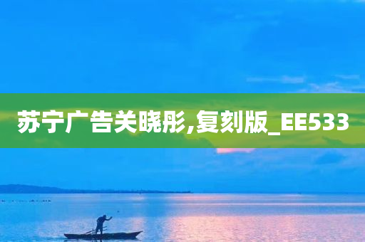 苏宁广告关晓彤,复刻版_EE533