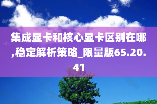 集成显卡和核心显卡区别在哪,稳定解析策略_限量版65.20.41