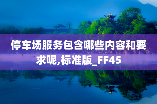 停车场服务包含哪些内容和要求呢,标准版_FF45