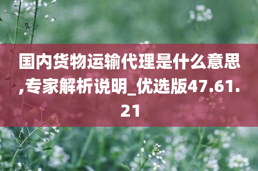 国内货物运输代理是什么意思,专家解析说明_优选版47.61.21