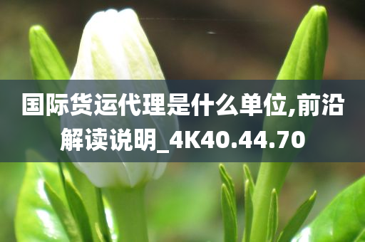 国际货运代理是什么单位,前沿解读说明_4K40.44.70