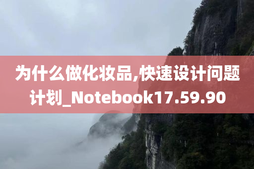 为什么做化妆品,快速设计问题计划_Notebook17.59.90