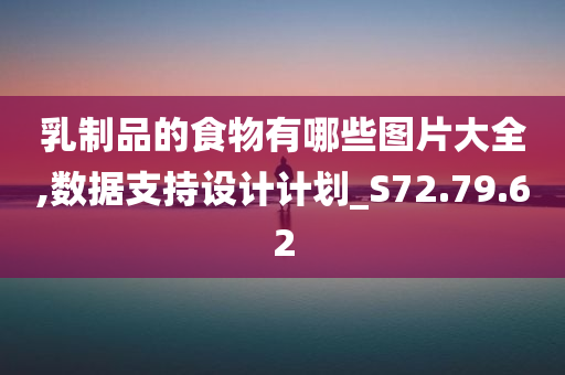 乳制品的食物有哪些图片大全,数据支持设计计划_S72.79.62