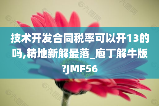 技术开发合同税率可以开13的吗,精地新解最落_庖丁解牛版?JMF56