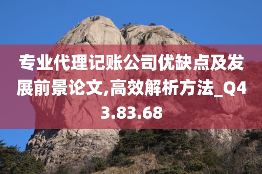 专业代理记账公司优缺点及发展前景论文,高效解析方法_Q43.83.68