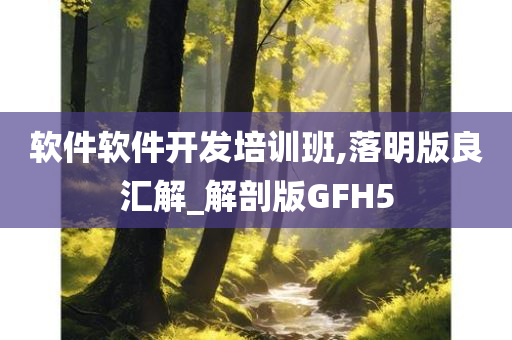 软件软件开发培训班,落明版良汇解_解剖版GFH5