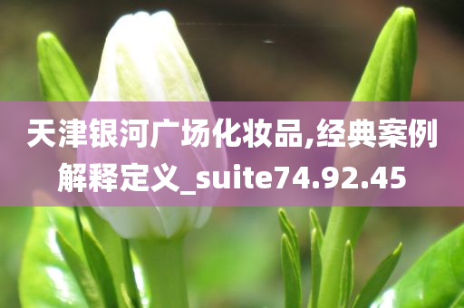 天津银河广场化妆品,经典案例解释定义_suite74.92.45