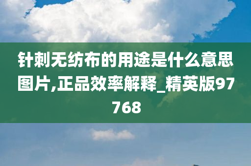 针刺无纺布的用途是什么意思图片,正品效率解释_精英版97768