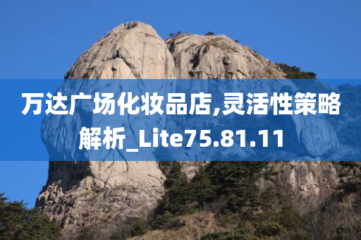 万达广场化妆品店,灵活性策略解析_Lite75.81.11