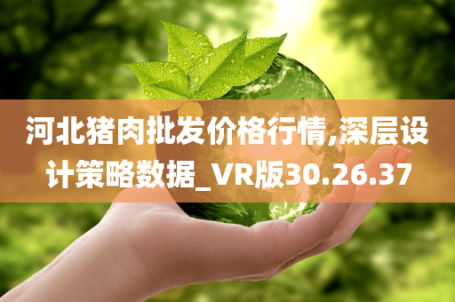 河北猪肉批发价格行情,深层设计策略数据_VR版30.26.37