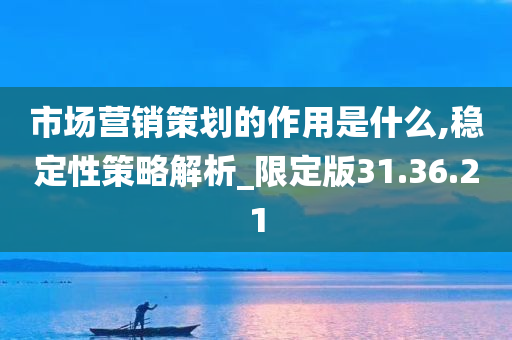 市场营销策划的作用是什么,稳定性策略解析_限定版31.36.21