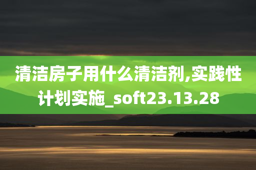 清洁房子用什么清洁剂,实践性计划实施_soft23.13.28