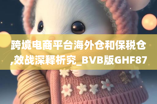 跨境电商平台海外仓和保税仓,效战深释析究_BVB版GHF87