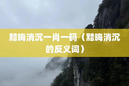 黯晦消沉一肖一码（黯晦消沉的反义词）