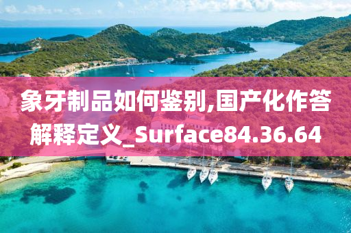 象牙制品如何鉴别,国产化作答解释定义_Surface84.36.64